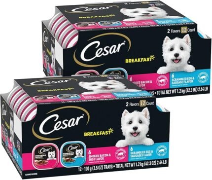 Cesar Wet Dog Food