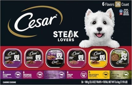 Cesar Wet Dog Food