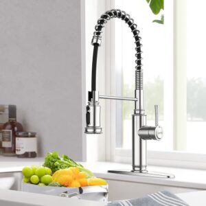 WaterSong Spring Kitchen Sink Faucet