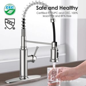 WaterSong Spring Kitchen Sink Faucet