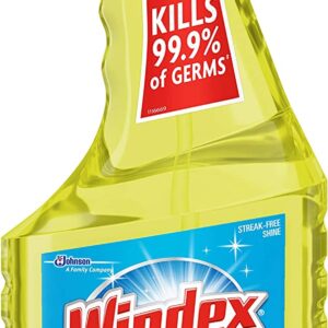 Windex Multi-Surface Cleaner