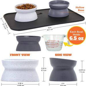 Kitty City Raised Cat Food Bowl