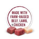 Beneful Wet Dog Food Medleys