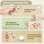 Montessori Toys for Babies 18 Months