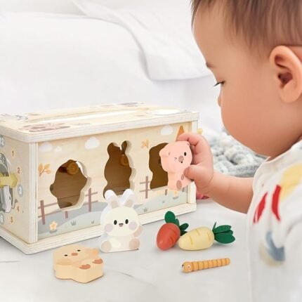 Montessori Toys for Babies 18 Months